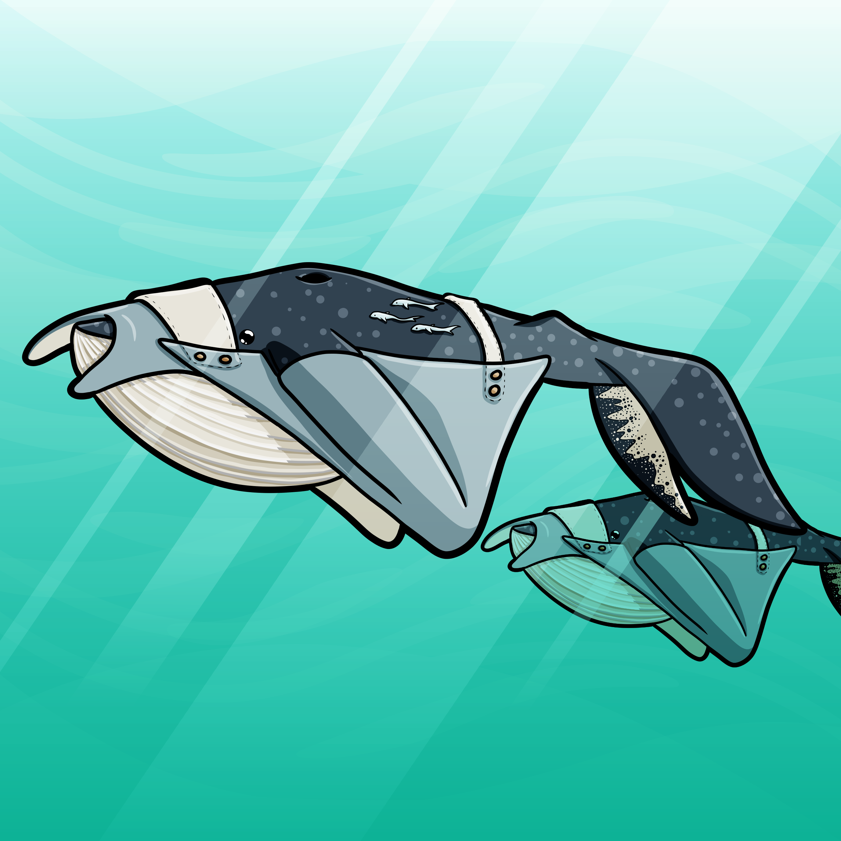 An illustration of a humpback whale and her calf dressed up as manta rays