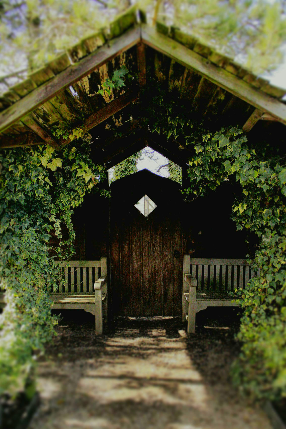 A fantasy-like roofed cover for two benches with vines of ivy on both sides